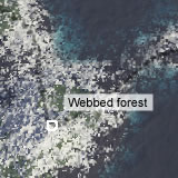 Webbed forest